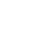 Neural brain